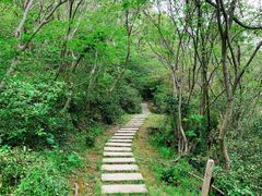 -青龙山公园