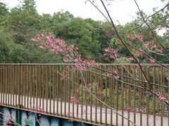 景点-广东大峡谷