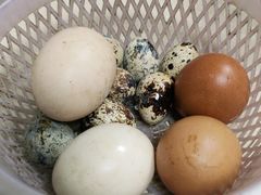 -瘦鬼老档糖水铺