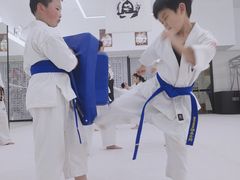 -极真空手道修远道场