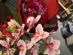 -施奈儿.洗头頭療.按摩SPA.采耳(上梅林店)