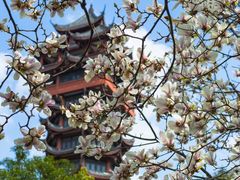 -塔子山公园