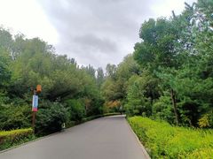 -长春市南湖公园