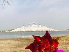 -呼兰河口湿地公园