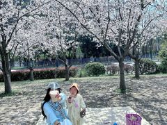 -幕燕滨江·燕子矶公园