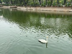 -石家庄市动物园