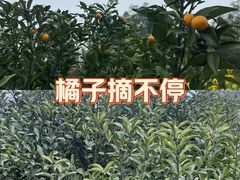 -千龙湖生态旅游度假区