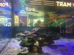 -凯德广场(学府店)