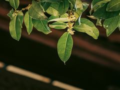 -浙江省博物馆(孤山馆区)