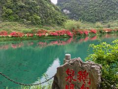 -靖西鹅泉风景区