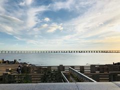 -宝安西湾红树林湿地公园