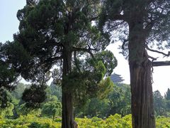 景点-景山公园