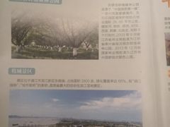 -春兰国宾馆(凤城河风景区老街店)