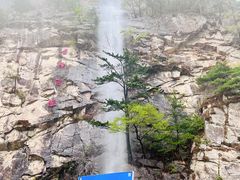 -青峰峡国家森林公园