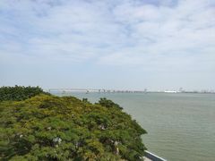 -大湾区中央湿地公园