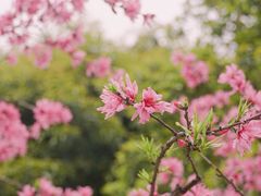 -西湖文化广场