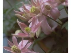 -蒙乡烤全羊·烤羊腿(京溪同和店)