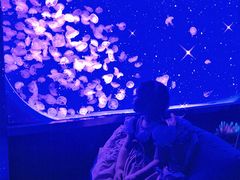 -沈阳海洋探索中心