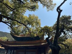 -普陀山慧济禅寺