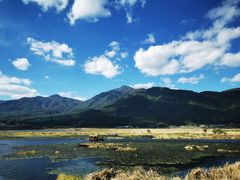 -腾冲北海湿地