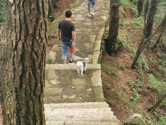 -罗田薄刀峰风景区