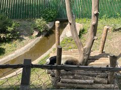 -沈阳森林动物园