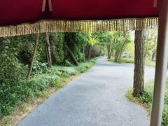 -日照海滨国家森林公园