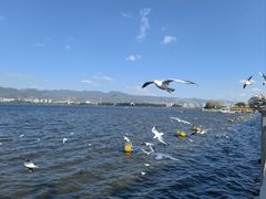 -海埂大坝