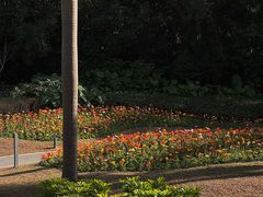 -云溪植物园