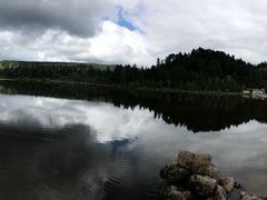 -五营红松林海景区