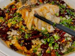 黑鱼花-三猫黑鱼花(南大店)