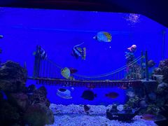 -太平洋海底世界