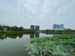-西海子公园