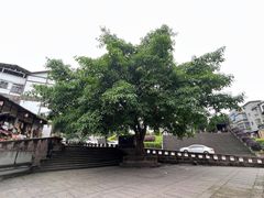-尧坝古镇