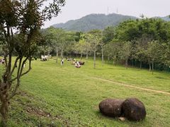 -田心森林公园