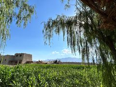 -镇北堡西部影城