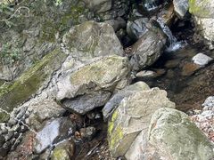 -藏龙百瀑风景区