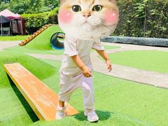 -玛利娅蒙特梭利双语幼儿园·托育(百家湖直营园)