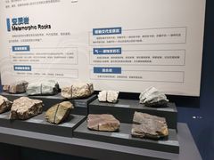 -湖南省地质博物馆