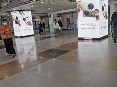 -大望路(地铁站)