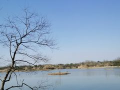 -西溪国家湿地公园