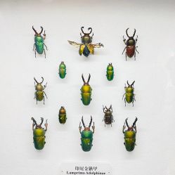 -酷嗒动物文化乐园(cutezoo西溪乐天城店)