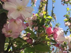 -永定河休闲森林公园