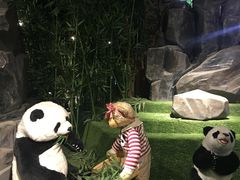 -成都泰迪熊博物馆