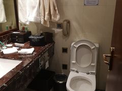 -上海青松城大酒店
