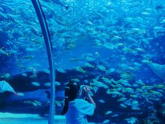 -海合安成都极地海洋公园