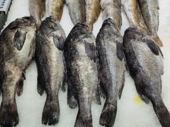 -渔码头食府(蓬莱阁店)