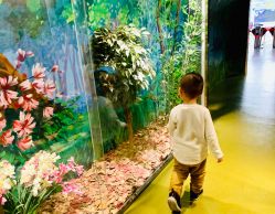 -北京科学中心儿童乐园