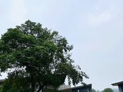 -蜀绣公园