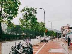 -火炉山森林公园
